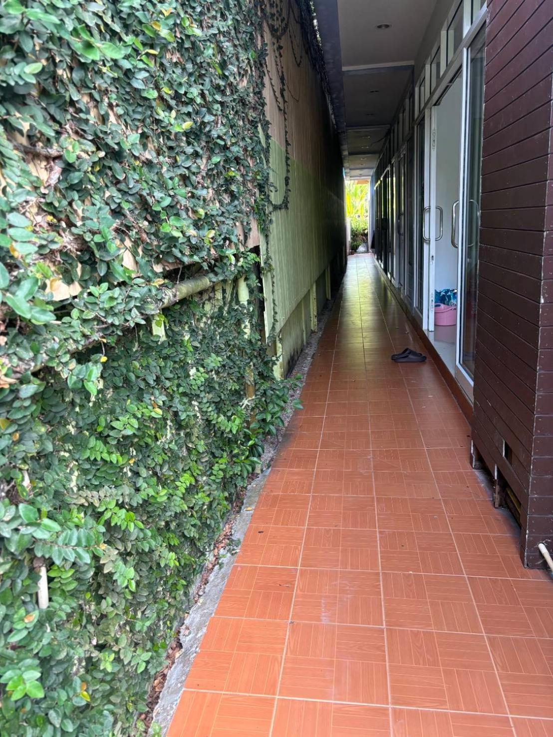 Hotel Rung Phangan Baan Tai Exterior photo